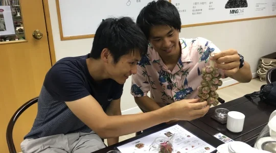 イメージ：中国茶賞味とペアリングコンセプトプラン